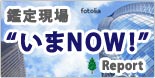 鑑定現場"いまNOW!"Report