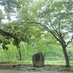 不来方のお城　　－ 盛岡市盛岡城跡公園 －